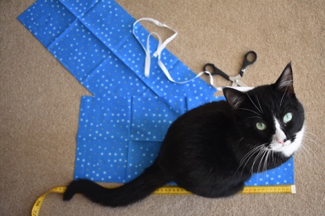 Cutting out fabric, with cat
